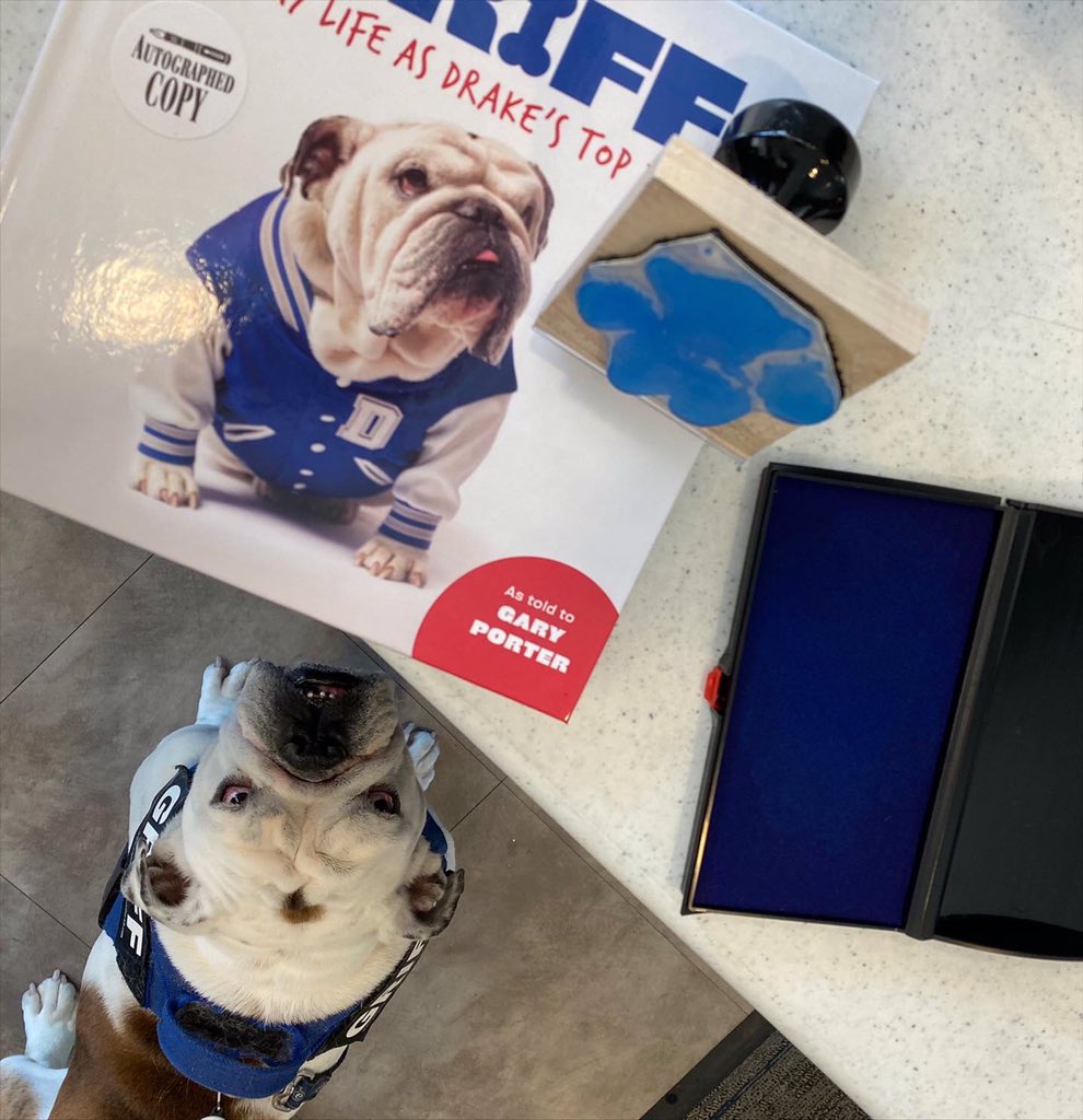 DrakeUGriff's tweet photo. The OG went back2work today!I offered to tag along. You know,to be his caddy. He signed some📚w/the author of his memoir at the @drakeuniversity bookstore. If you buy there,it’ll be signed-BY THE OG! (Note #GriffSocks now in stock!) #OriginalGriff #ForeverOurDog @DrakeUniversity https://t.co/n6bElPKhd4