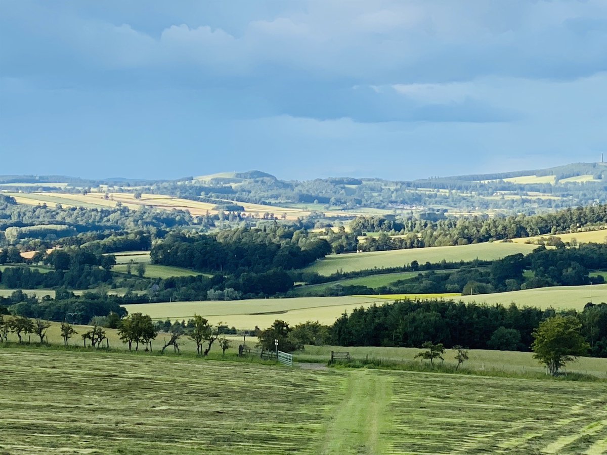shavenraspberry's tweet photo. Evening walk looking east down the #teviotdale valley towards the #Waterloomonument extreme right and #baronsfolly in the centre distance. @projecthawick @DenholmVillage @TheHawickPaper @townoftrails @Walk_Borders @ramblersscot #scottishborders #navigation #getoutside https://t.co/yRXygOL0Zo