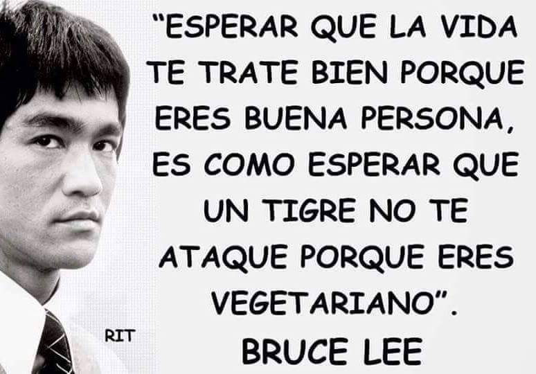 Ser buena persona no nos garantiza que la vida nos trate bien, pero no hay mejor almohada que una conciencia tranquila. #principios #valores #psicología #tamaradelarosa