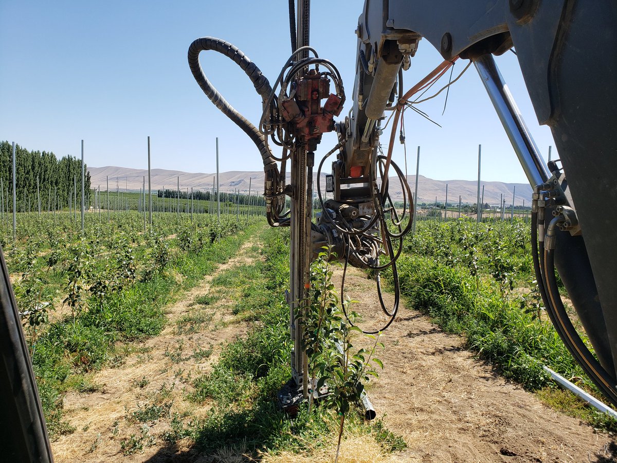 It's a beautiful day in the neighborhood! #yakimavalley <a href="/TrellXsys/">TrellX</a>