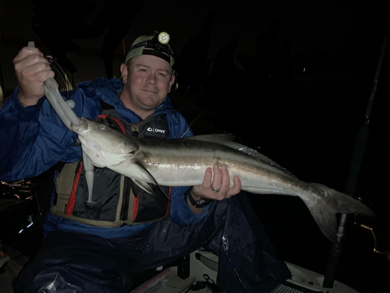 HookupLures's tweet photo. 30 inch Cobia on a Gambler Lures GZ #swimbait!
#cobia #saltwater #fishing https://t.co/FmU2SaW49X