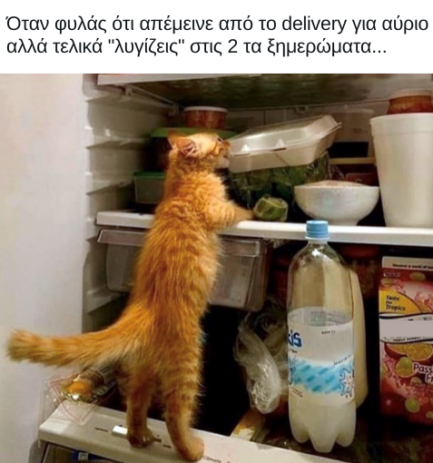 Deliverasgr's tweet photo. #fooddelivery #deliveras #latenightmood #hungryatnight #leftovers #foodmeme https://t.co/2uDjdEGxbn