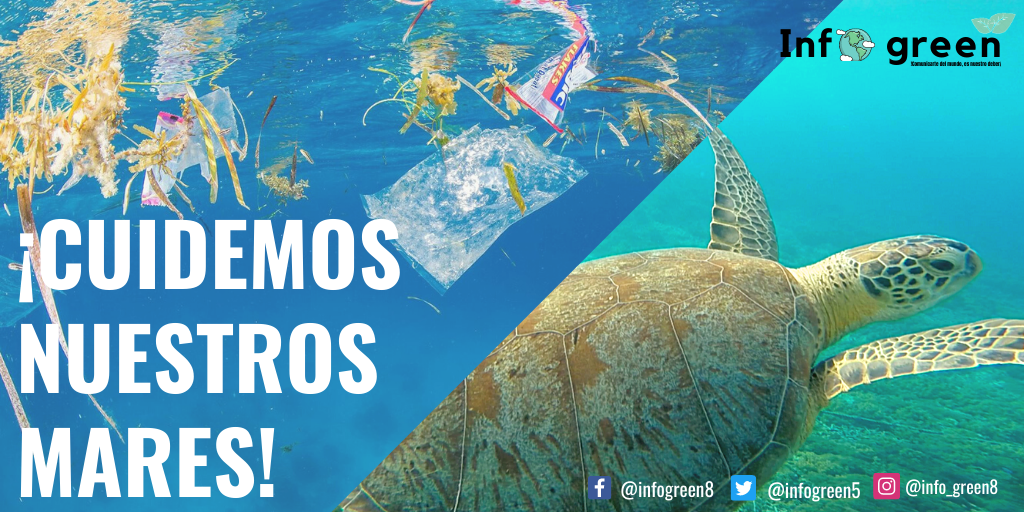 INFOGREEN5's tweet photo. CUIDEMOS NUESTROS MARES, LOS SERES MARINOS TAMBIÉN MERECEN ¡RESPETO!
MAR LIMPIO, SERES ACUÁTICOS VIVOS
#aguapura
#infogreen
#cuidemosnuestroplaneta https://t.co/qdSm3y520s