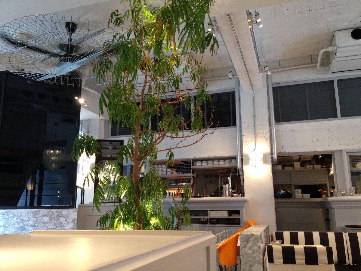 フードメ グルメwebマガジン エムハウス 東京 恵比寿駅徒歩5分 Nyスタイルのブランチが頂ける人気店 ブリオッシュ生地のフレンチトーストは人気です ディナーは無国籍で豊富なアラカルトを楽しめます 恵比寿 ブランチ エムハウス