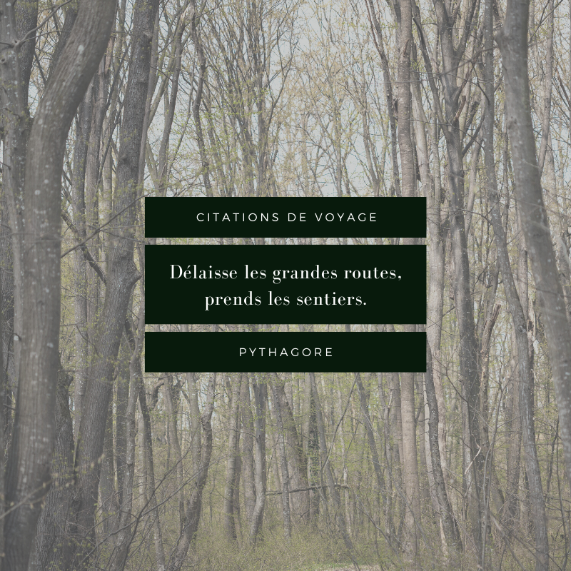 Qu’en pensez-vous ? 🤔🌍✈️⠀
.⠀
.⠀
.⠀
#citationvoyage #voyager #travel 
#roaming #CarteInternationale 
#passionpasseport #Voyage