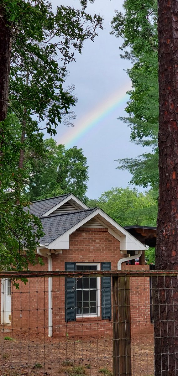 Anthony Raynor tweet media