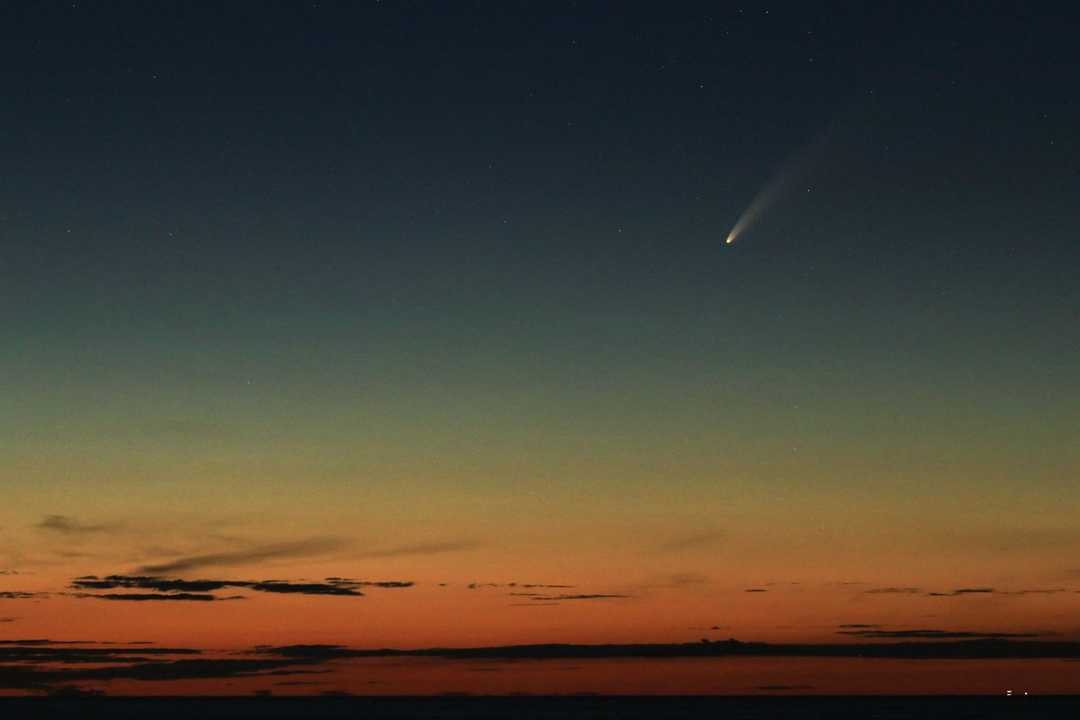 Jamie Reynolds tweet media