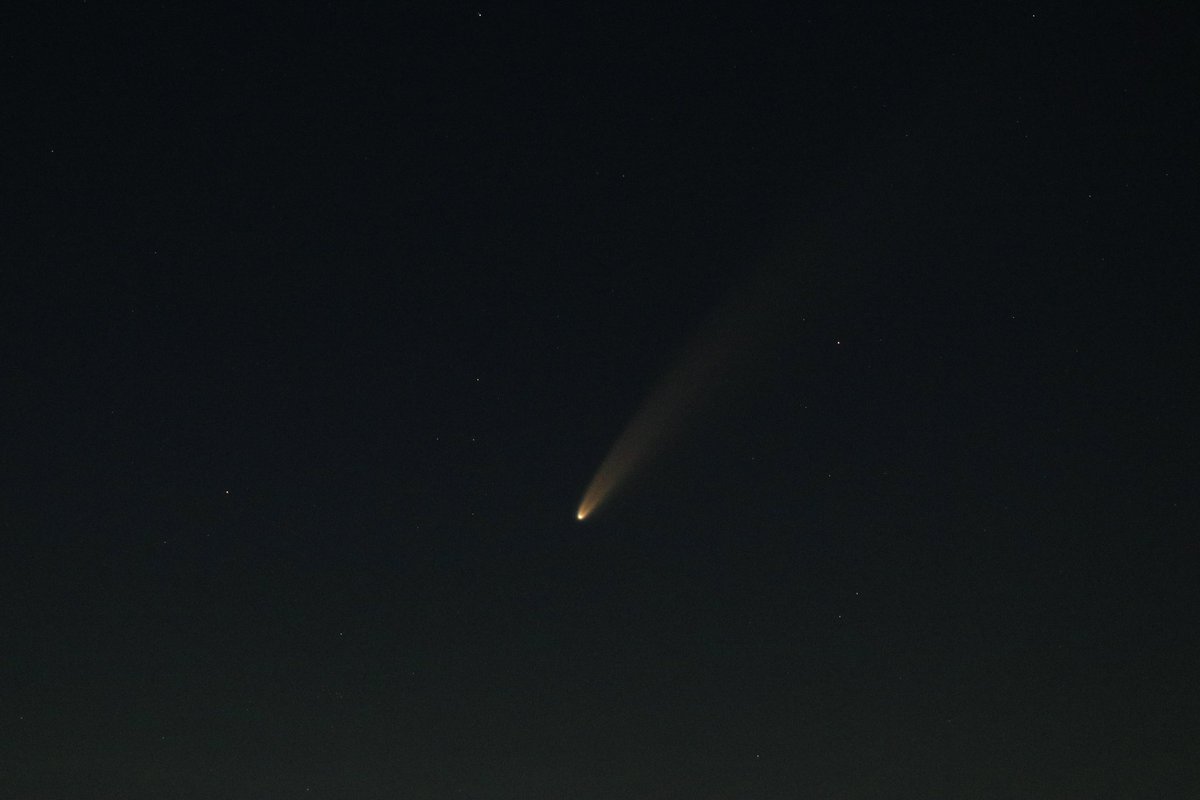 Jamie Reynolds tweet media