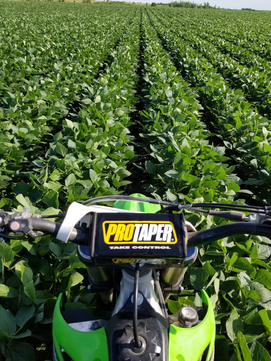 Landon427's tweet photo. Left pic is today July 10th and the right pic is August 4th 2019. Things are looking good! https://t.co/dq6vwpiIce