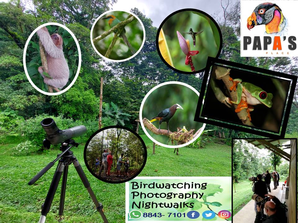 Papa´s Place CR (papasplacecr) Twitter