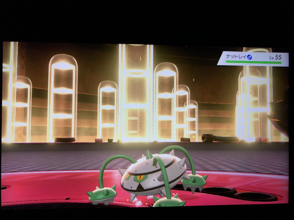 フカヒロ Pixivリクエスト1作目完成 アキラのガラル冒険記 お次はセジロvsテッシード ここは4倍弱点のほのお技 火炎放射 で一撃 急所職人による一撃必殺無双もこれはこれで気持ち良いけど 実況的にはローランドみたいなギリギリで凌ぎを削るバトルの