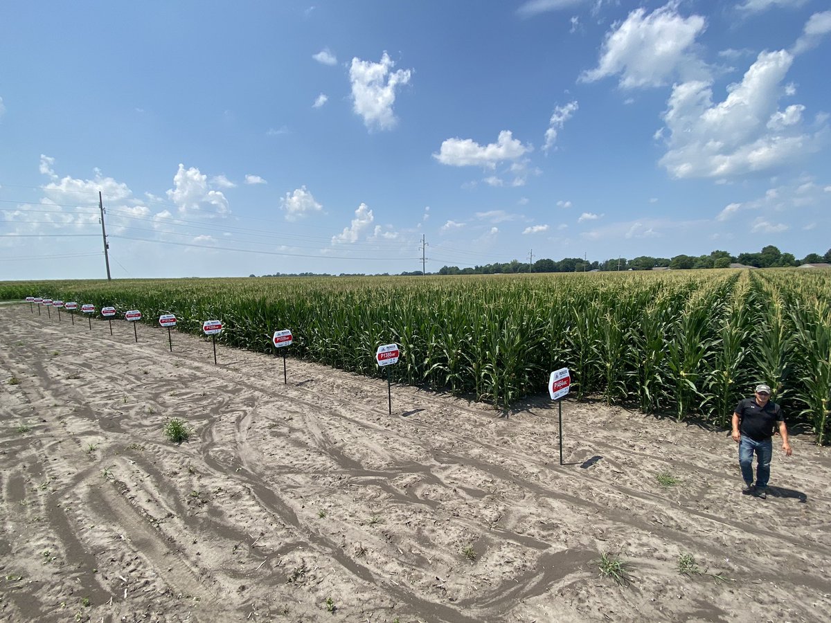 Ben Rakes tweet media