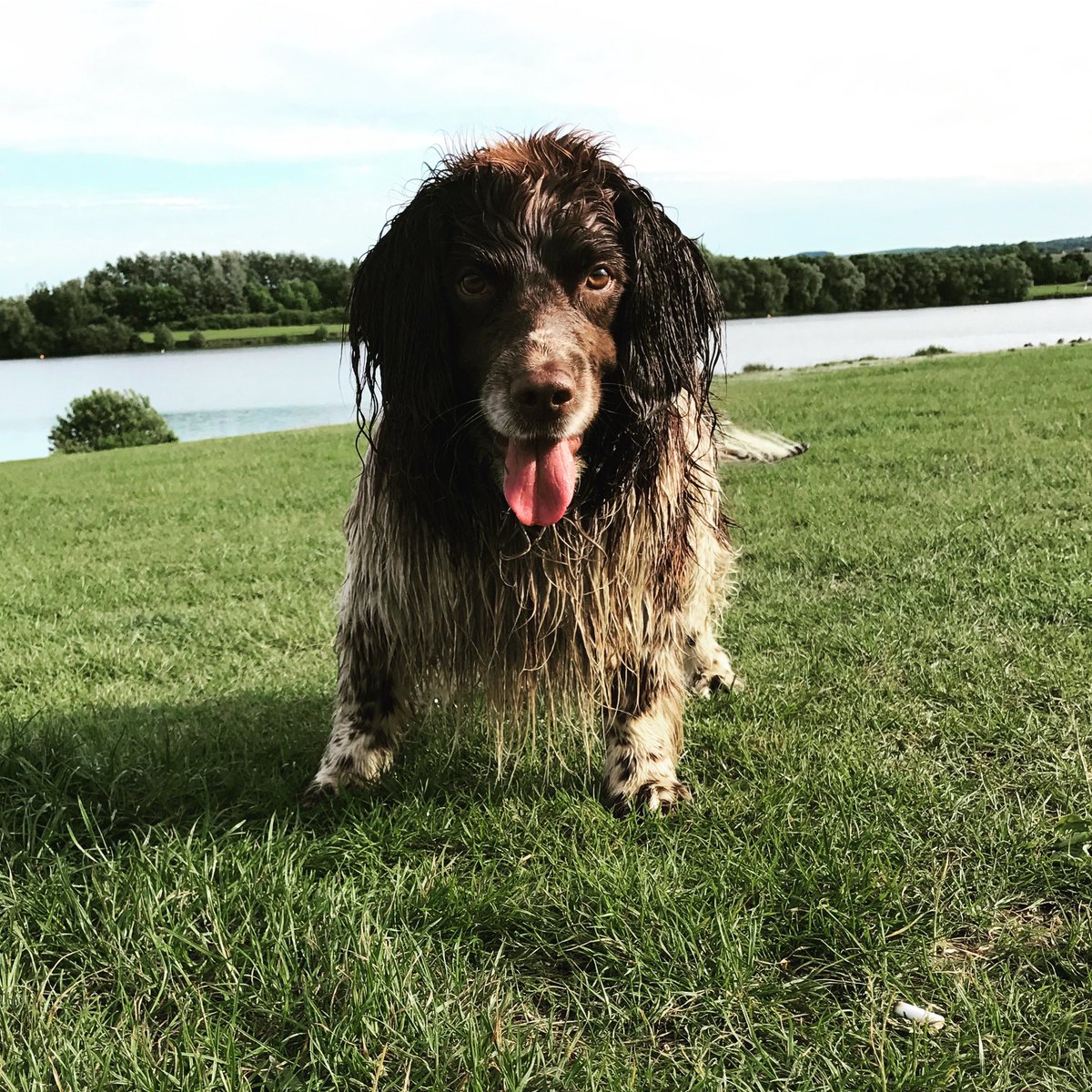 KazShaw's tweet photo. Your pet and what they’re named after (just pictures) https://t.co/r0gUmEeAuh
