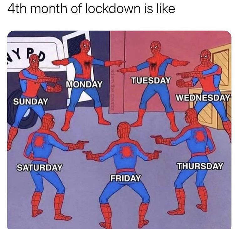 Solithra ☀️ tweet media