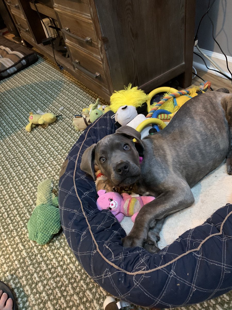 She may be pretty, but she’s evil I tell you!! 🤣😂😆😍