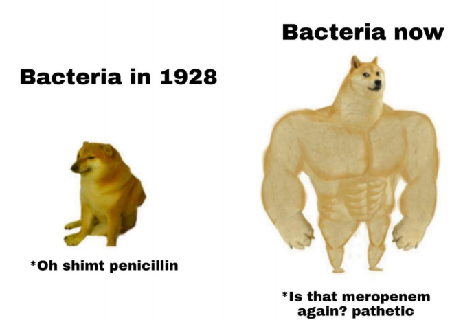 lauramarise's tweet image. Os microbiólogo pira