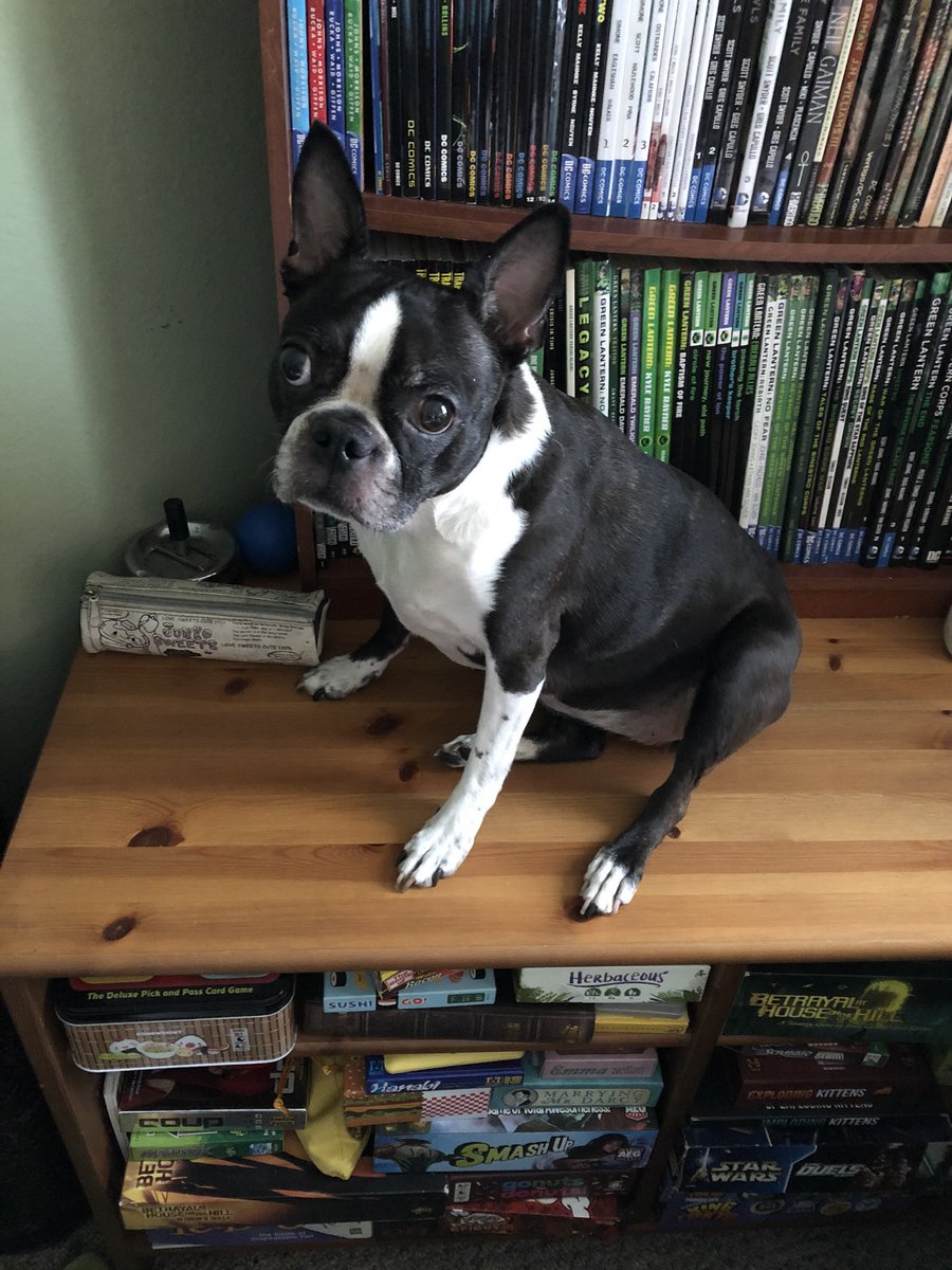 Donnelle tweet media