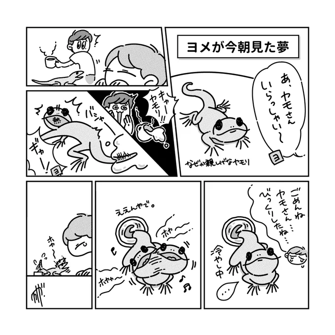 【日常漫画】ヨメの見る夢はいつもシュール
#絵 #イラスト #漫画 #絵描きさんと繋がりたい #イラスト好きな人と繋がりたい #夢 #ヤモリ 