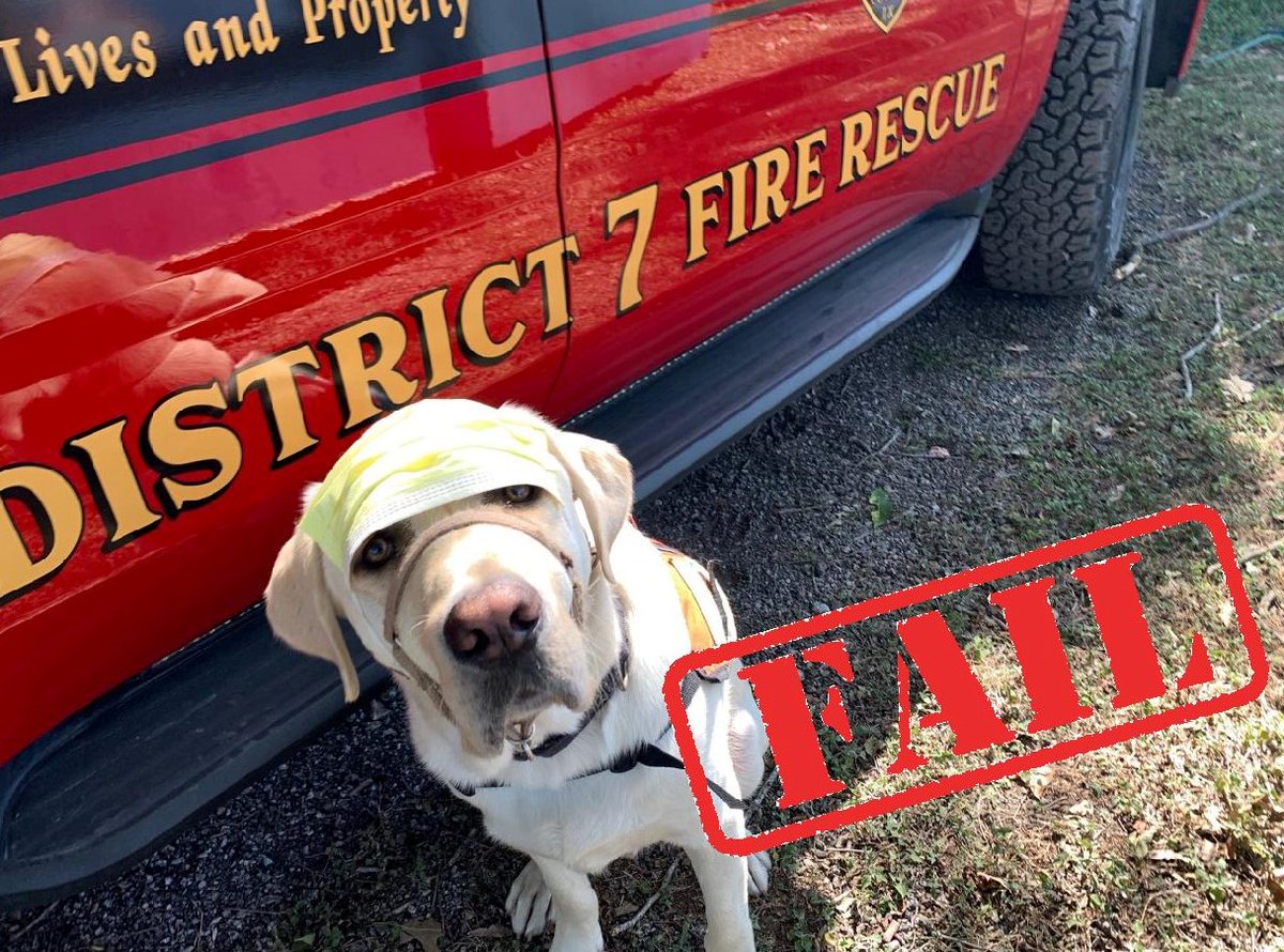 District 7 Fire & Rescue tweet media