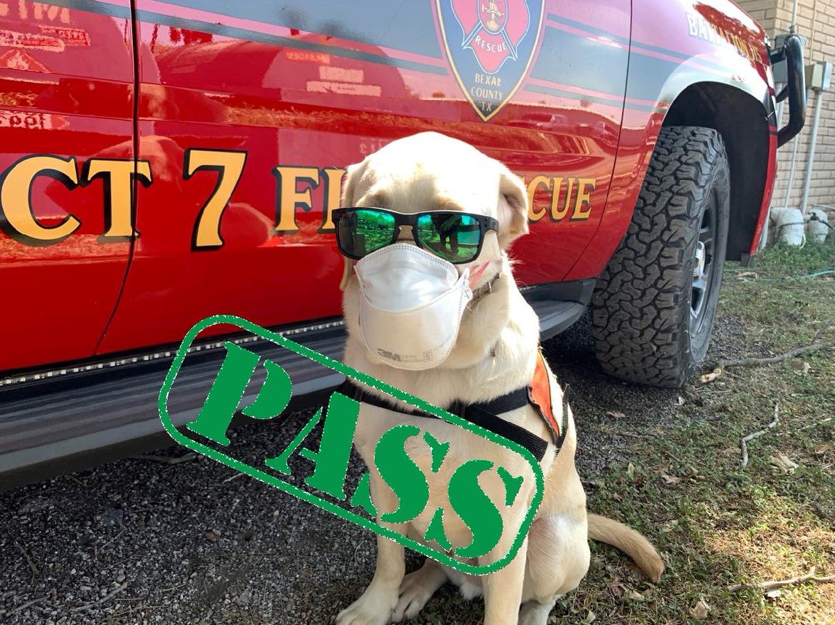 District 7 Fire & Rescue tweet media