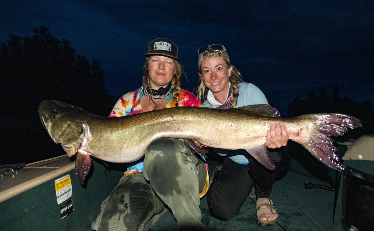 blindcasts's tweet image. Ten casts later ———&amp;gt;&amp;lt;&amp;gt; #alexandersonrowan #sunsetcountry