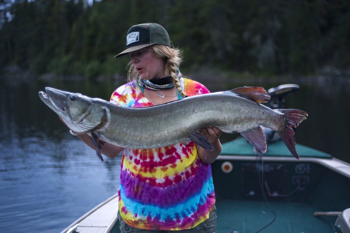 blindcasts's tweet image. Ten casts later ———&amp;gt;&amp;lt;&amp;gt; #alexandersonrowan #sunsetcountry