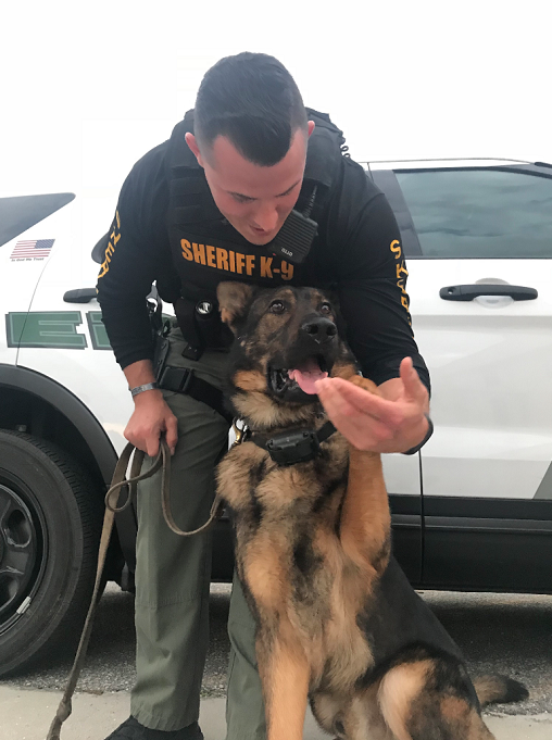 Pasco Sheriff tweet media