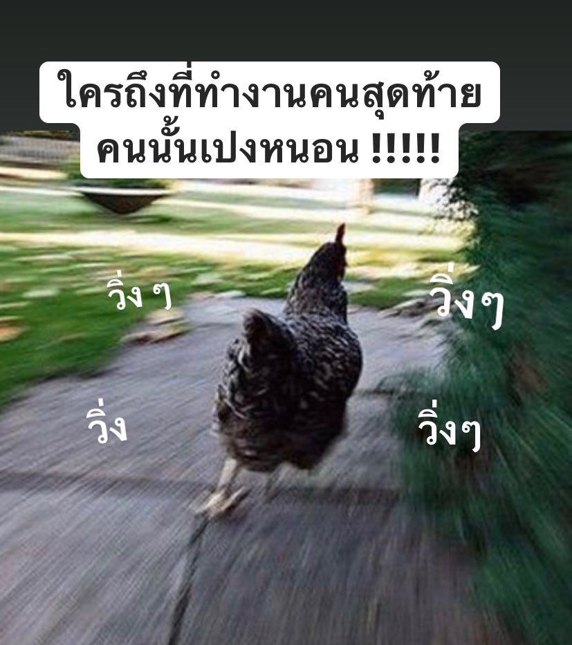 𝗔𝗥𝗔𝗠𝗢 𝗔𝗥𝗢𝗠𝗔 tweet media