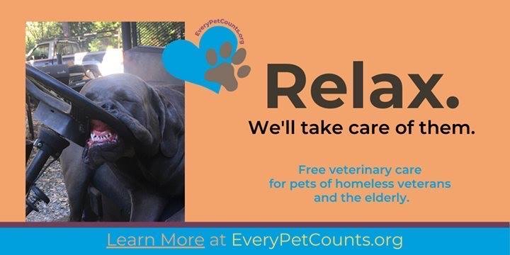 EveryPetCounts's tweet image. Pets play a crucial part in the quality of life, mental and physical wellbeing, recovery, and keeping society relevant to those most struggling to stay afloat. 
Please help us out just by sharing , 👍and commenting ! 
bit.ly/2Ow48In

#donate #vetsmatter #vets4pets #puppy