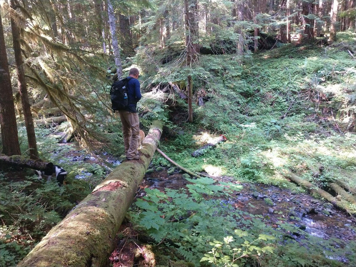 "How can you stand to live where you do?" they ask me