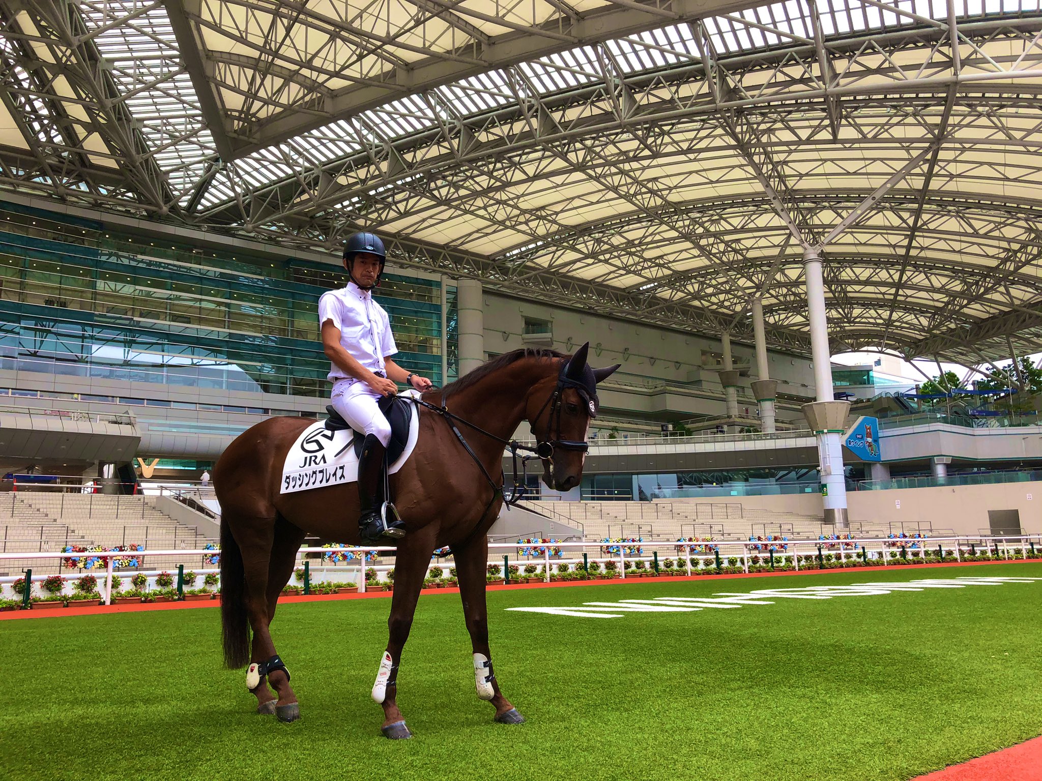 阪神競馬場 公式 おはようございます 開幕カウントダウンに登場してもらったダッシングブレイズが 本日の午前中 誘導馬デビューを迎えます 新しいお仕事で緊張しているかもしれませんが がんばる姿をあたたかく見守ってもらえたらうれしいです