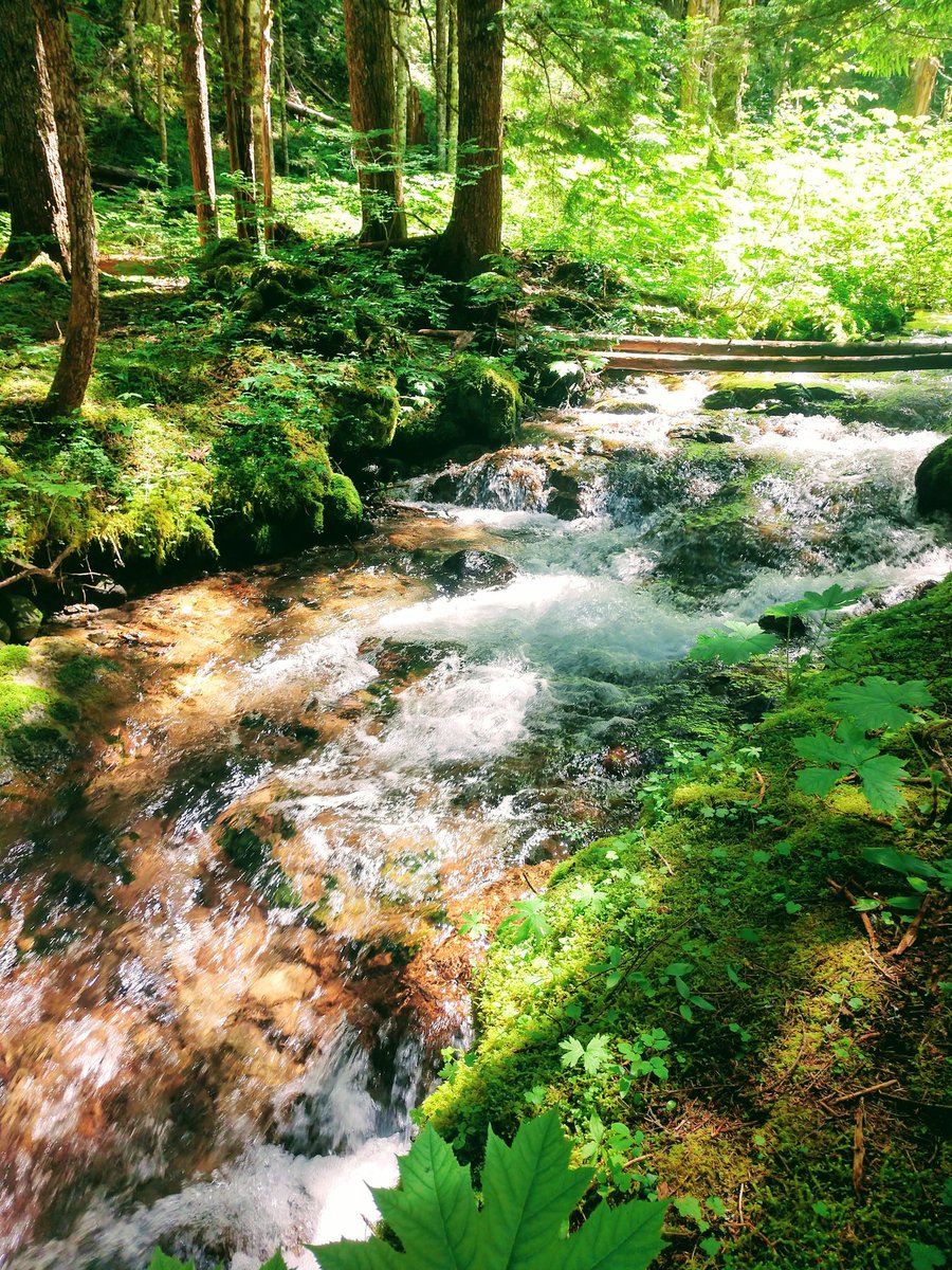 "How can you stand to live where you do?" they ask me