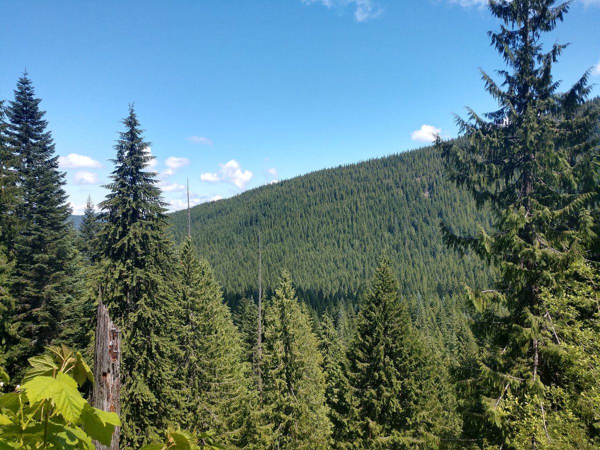 "How can you stand to live where you do?" they ask me