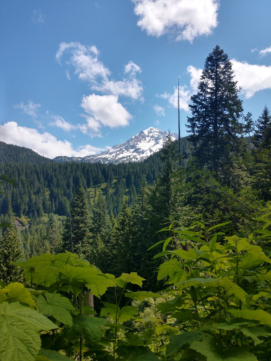 "How can you stand to live where you do?" they ask me