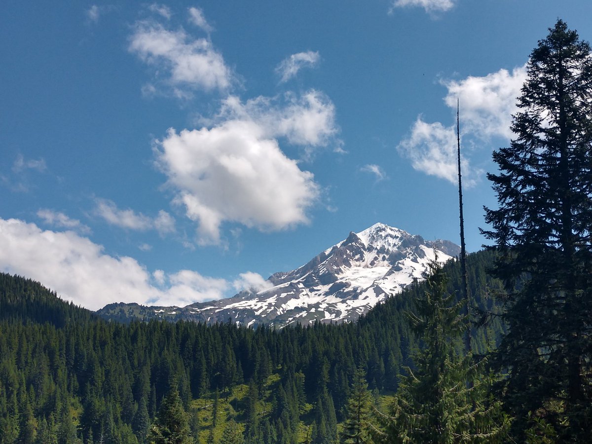 "How can you stand to live where you do?" they ask me