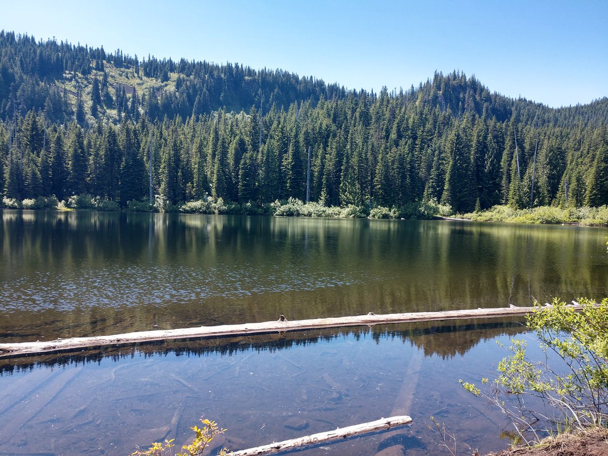 "How can you stand to live where you do?" they ask me