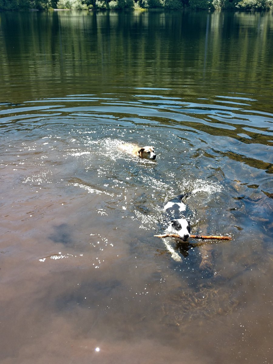 "How can you stand to live where you do?" they ask me