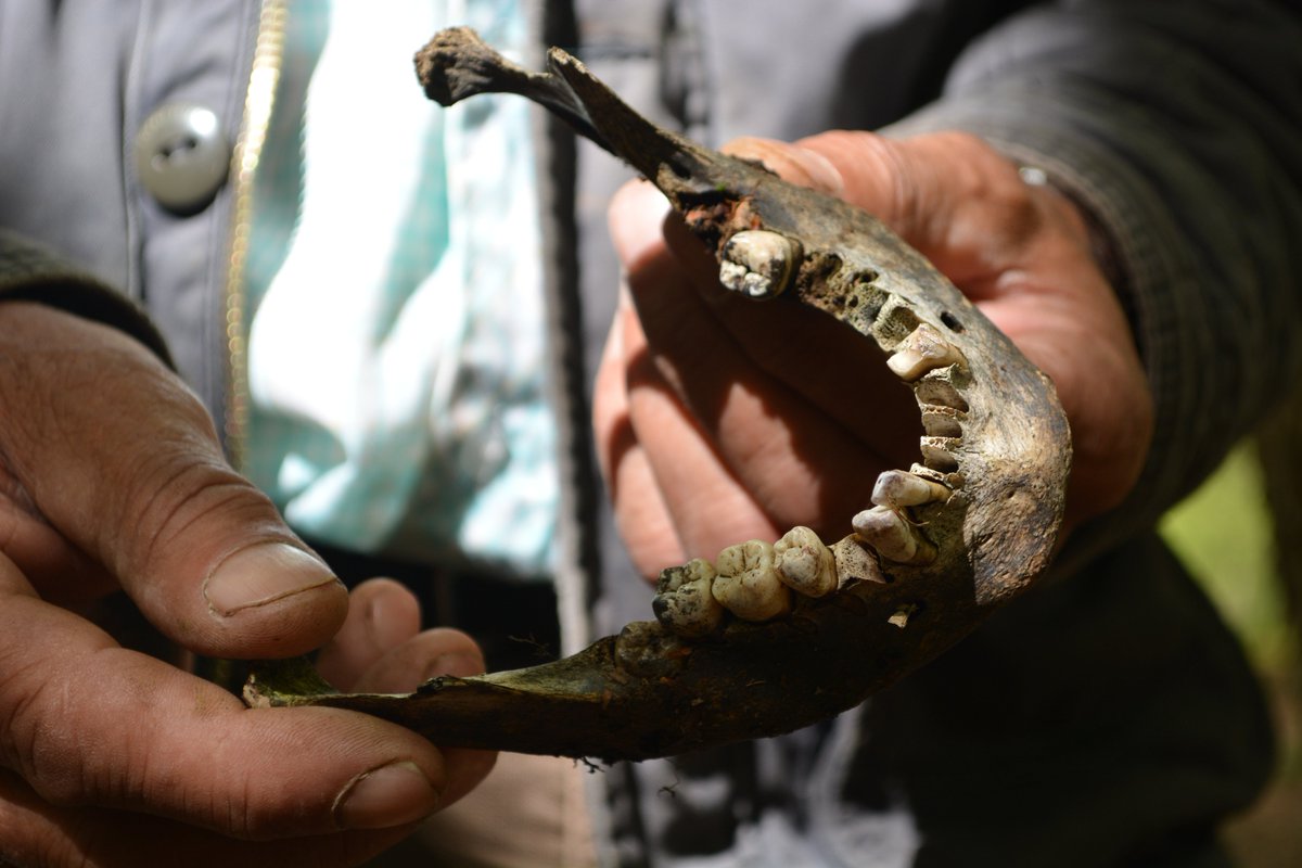 17/Ramiz Nukic continues to travel, search and find remains of missing Bosniak Muslim men. Meanwhile, like most Bosnian Serbs,Mladen Grujicic, the mayor of Srebenica denies that the genocide took place.He will skip the events marking the  #25YearsOfBosnianGenocide. *ends