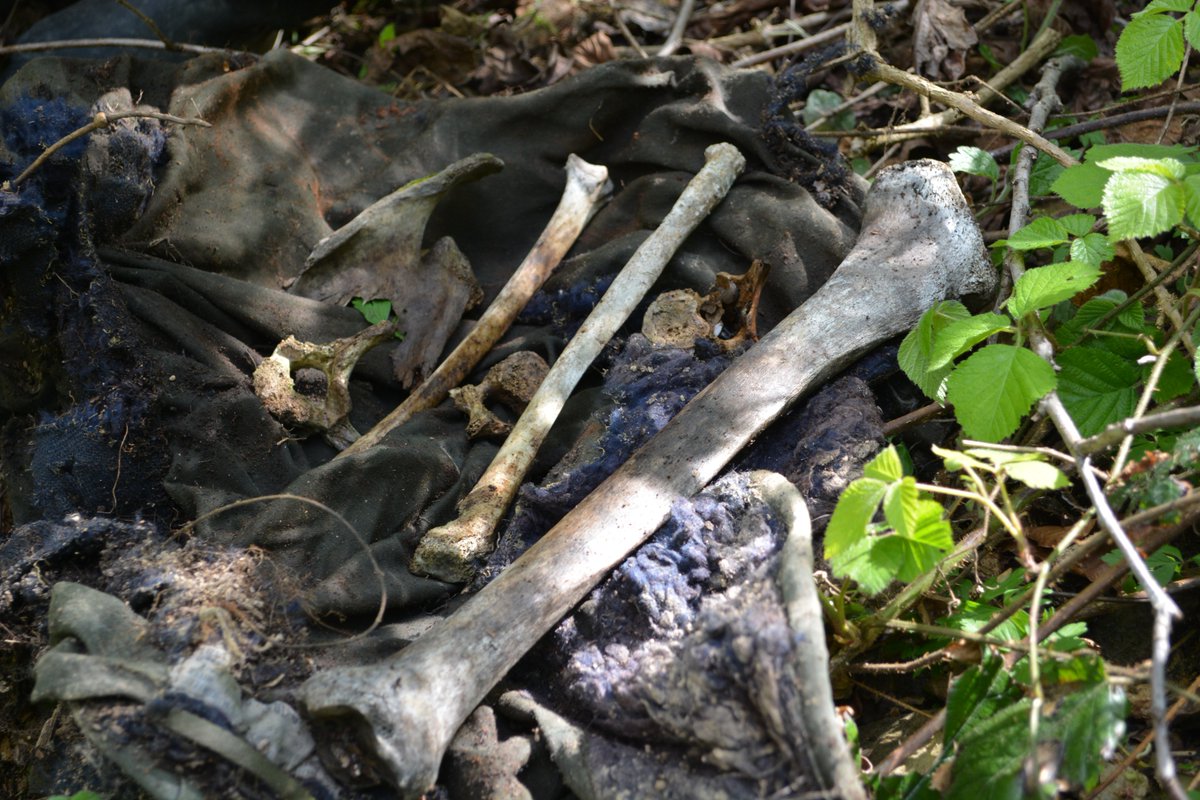 17/Ramiz Nukic continues to travel, search and find remains of missing Bosniak Muslim men. Meanwhile, like most Bosnian Serbs,Mladen Grujicic, the mayor of Srebenica denies that the genocide took place.He will skip the events marking the  #25YearsOfBosnianGenocide. *ends