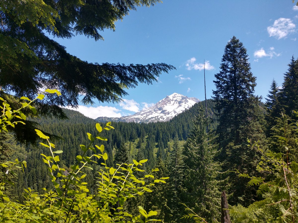 "How can you stand to live where you do?" they ask me