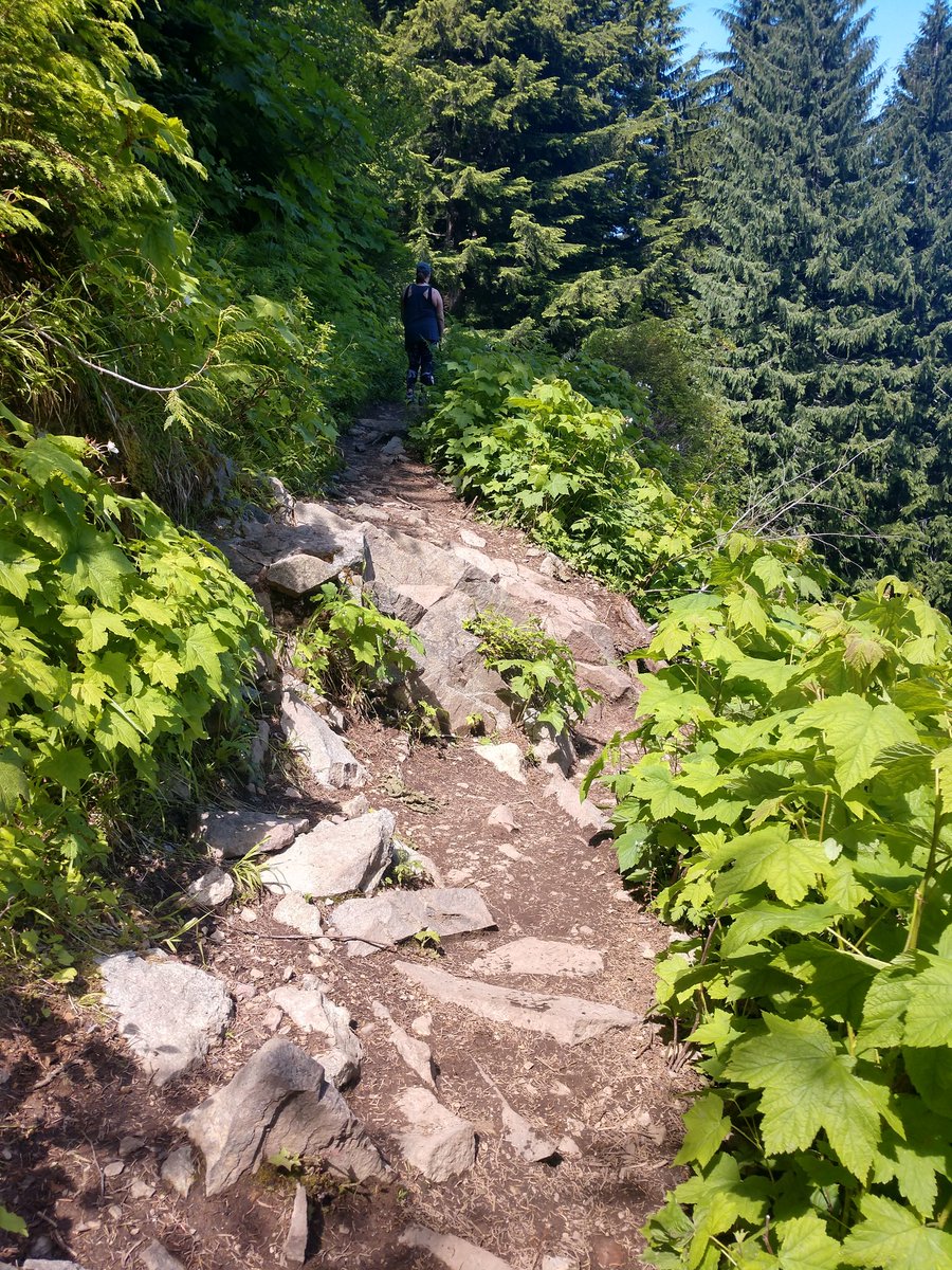 "How can you stand to live where you do?" they ask me