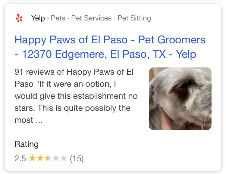 happy paws edgemere