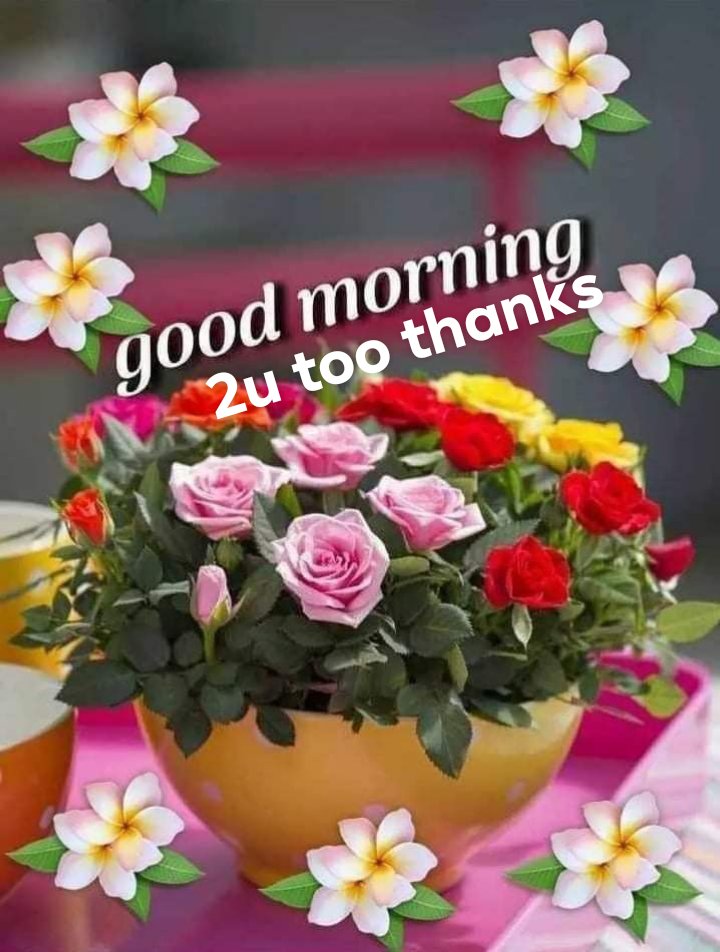 KasajjaMusoke's tweet photo. @HildaMatilda256 https://t.co/DHCnjnapUC