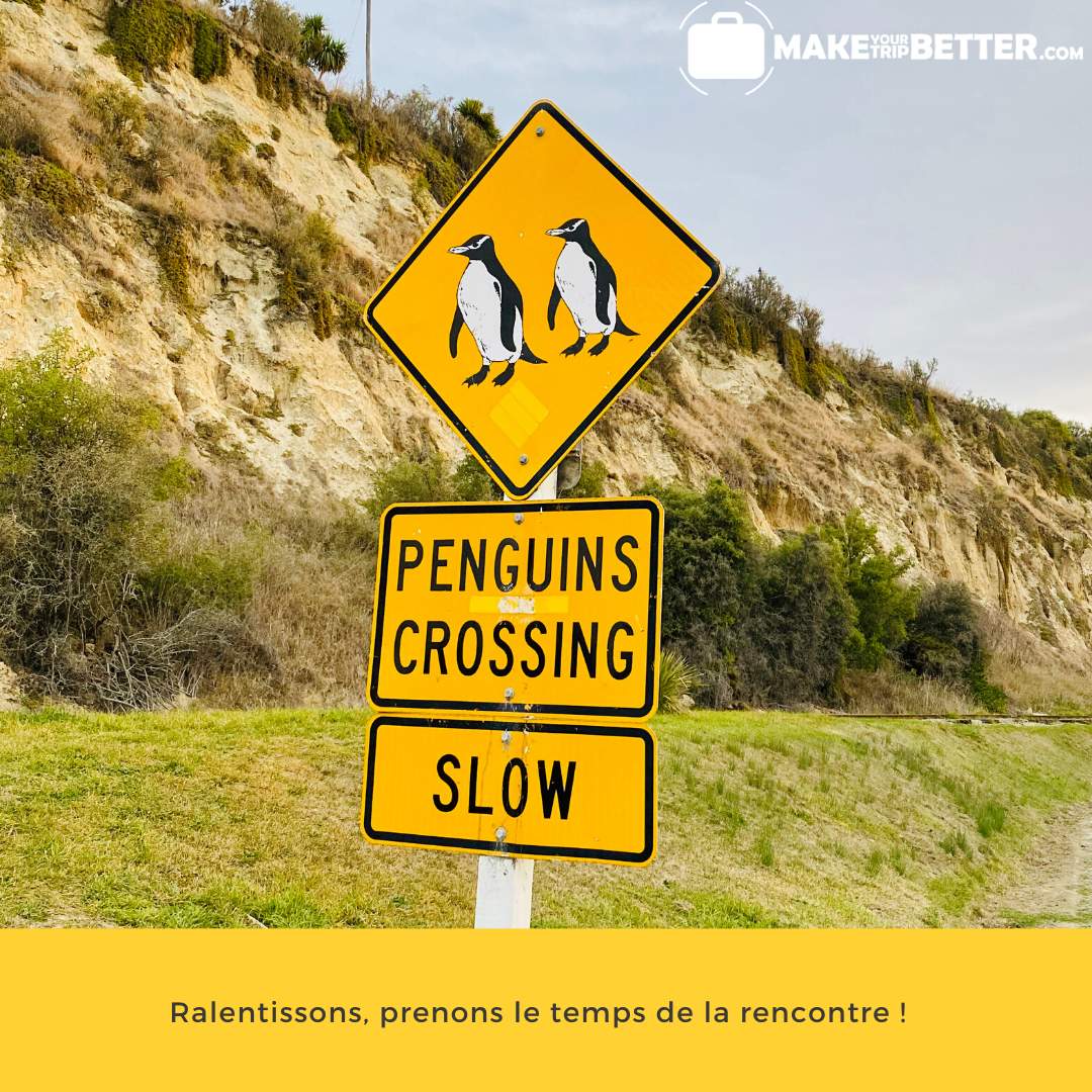 TeamMYTB's tweet photo. Ralentissons et prenons le temps de la rencontre !
Rencontrez des amis partout dans le monde avec https://t.co/utTWF3SupL
#tourismebienveillant #caringtourism #makeyourtripbetter #partageretsamuser #rencontreretsympathiser https://t.co/EbmXazoftJ