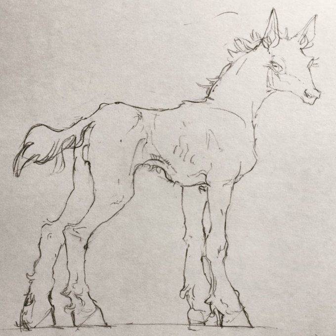 smol 