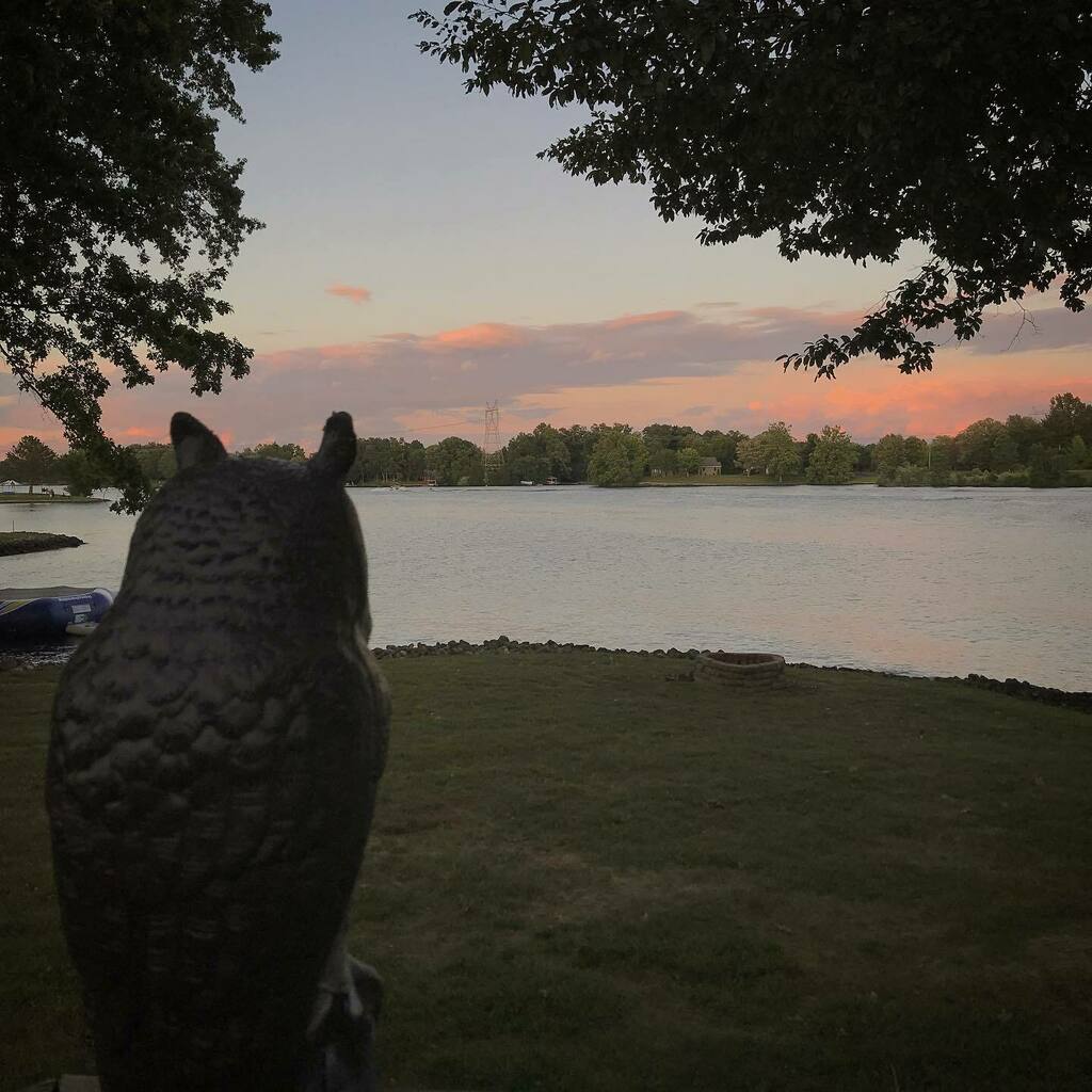 Jen Morrison tweet media