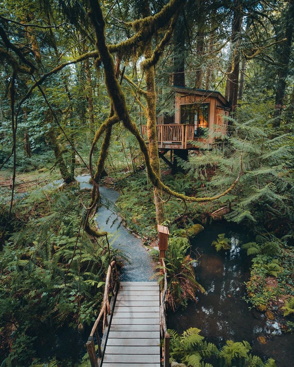 GearDoctors's tweet photo. That view is so gorgeous 😍
.
.
All thanks to @babytraven for such a wonderful Shot 📸 .
.
.
.
#weroamabroad #seekthetrails #earthoutdoors #modernoutdoors #lensbible #dreamingtones #roam247 #thedscvrr #main_vision #dscvr_earth #visualcollective #takemoreadventures https://t.co/6rkmloDwiZ