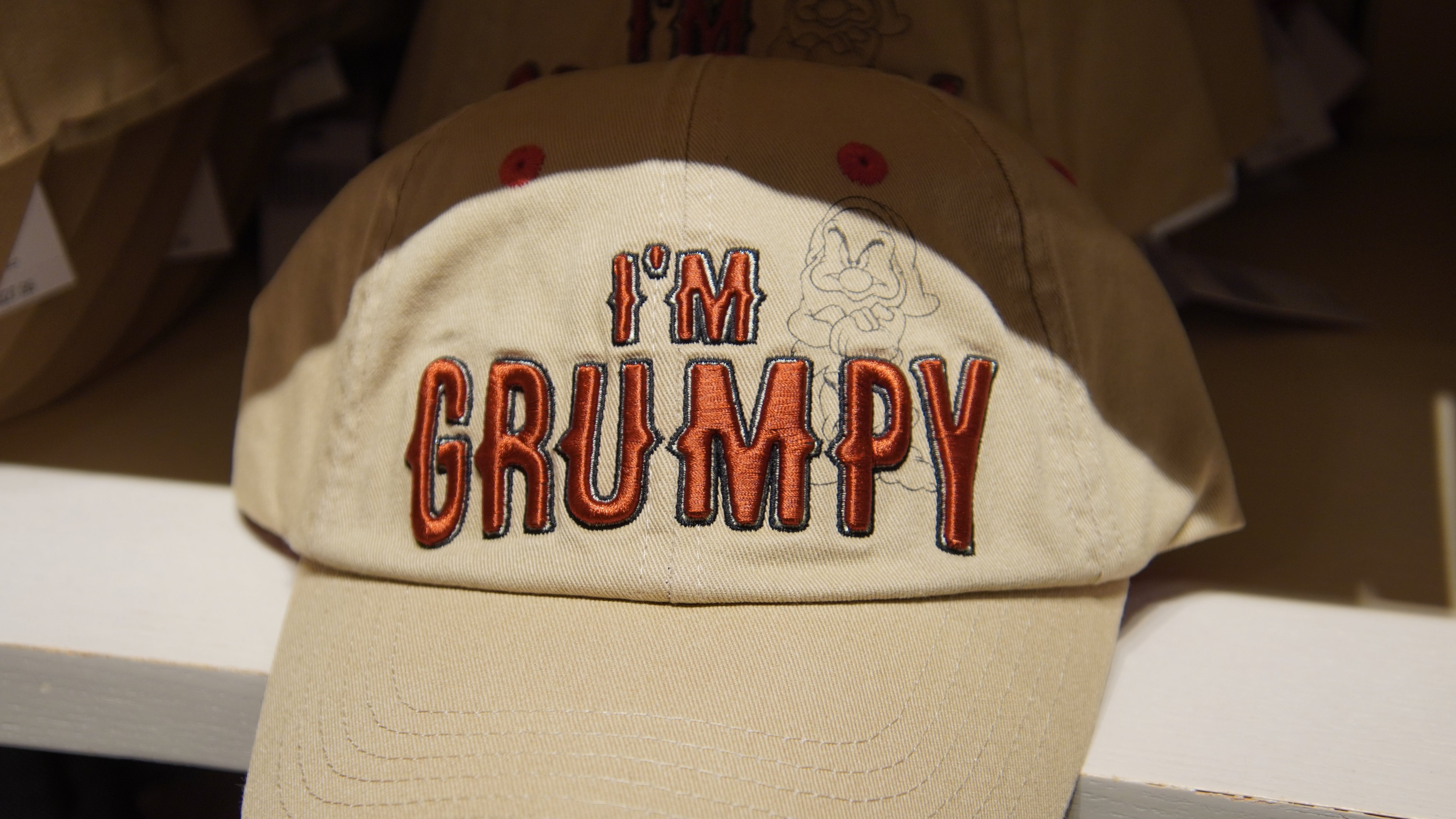 Grumpy hat cheap disney world