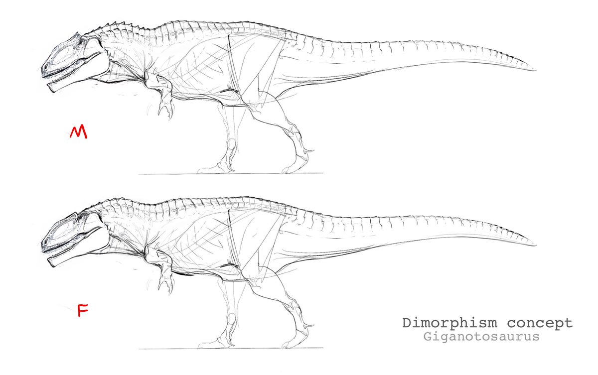 The Isle Theisleofficial Twitter - tyrannosaurus morph test roblox