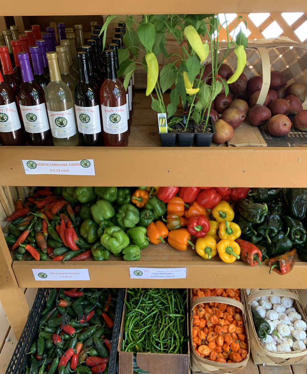 moodyplantmama's tweet photo. For ppl in the Raleigh/Durham area pls go check out Perkins Orchard!! It’s a black owned organic produce shop with incredible selection of fruits and veggies! They have a $20 bag deal where you fill a bag with whatever for only $20 PLUS a free item (blueberries). Support Local!! https://t.co/cbUyTXLm3Z